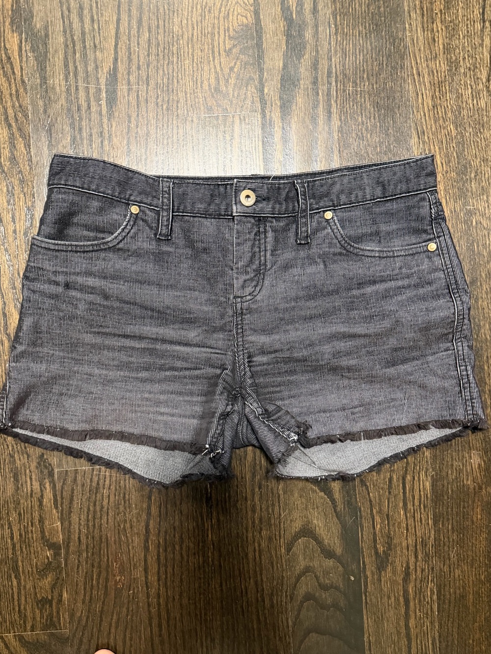 Carve Designs Oahu Shorts black